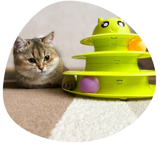 PET TOYS