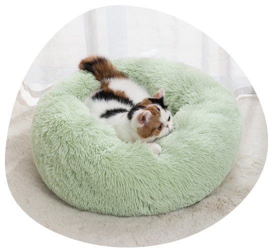 PET BEDS