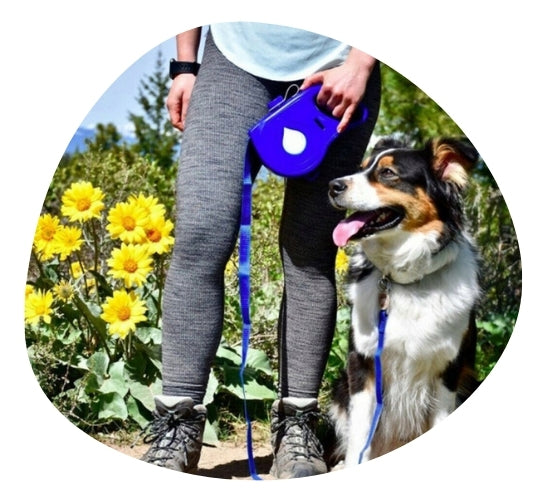 PET CLOTHING & APPAREL