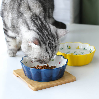 Ceramic pet bowl