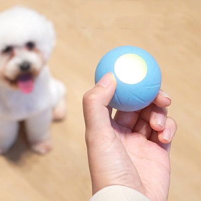 Cat Interactive Ball cat toys
