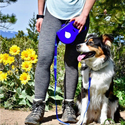 Multifunctional Pet Leash Automatic Retractable Leash Portable Dog LeaMultifunctional Pet Leash Automatic Retractable Leash Portable Dog Leash