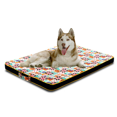  Dog Mats