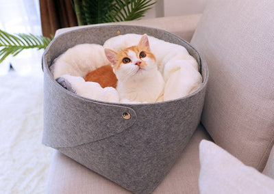 pet bedpet bed