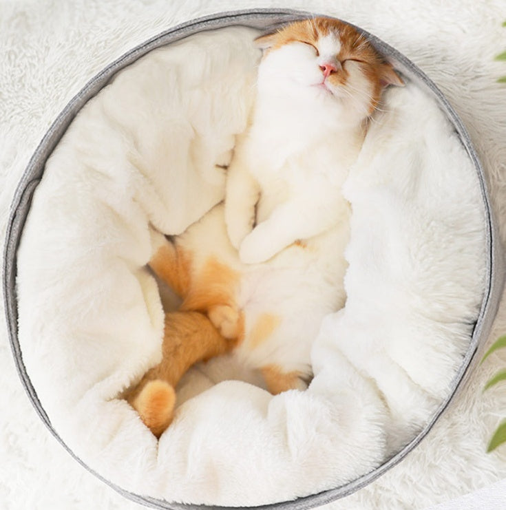 pet bedpet bed