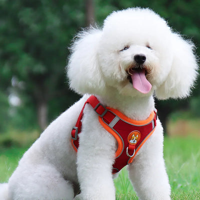 New Dog Leash And Harness Set Pet Dog Harness And Leash Set AdjustableLeash Set Adjustable Puppy Cat Harness Vest Reflective Walking
