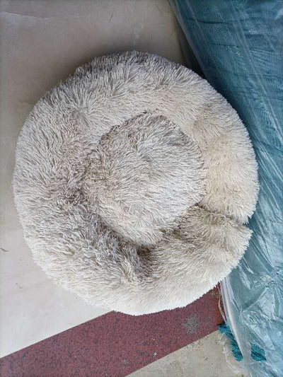 Pet sleep bedPet sleep bed