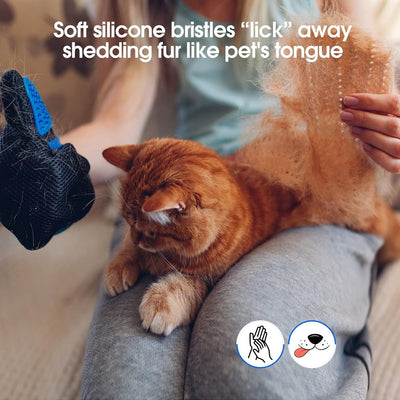 pet grooming gloves