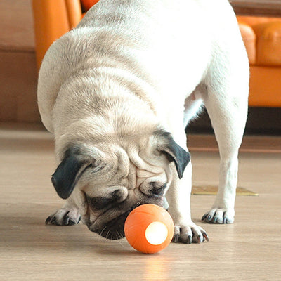 Cat Interactive Ball cat toys
