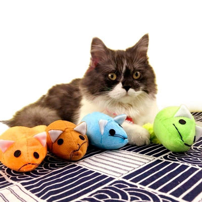 Fun for Furry Friends