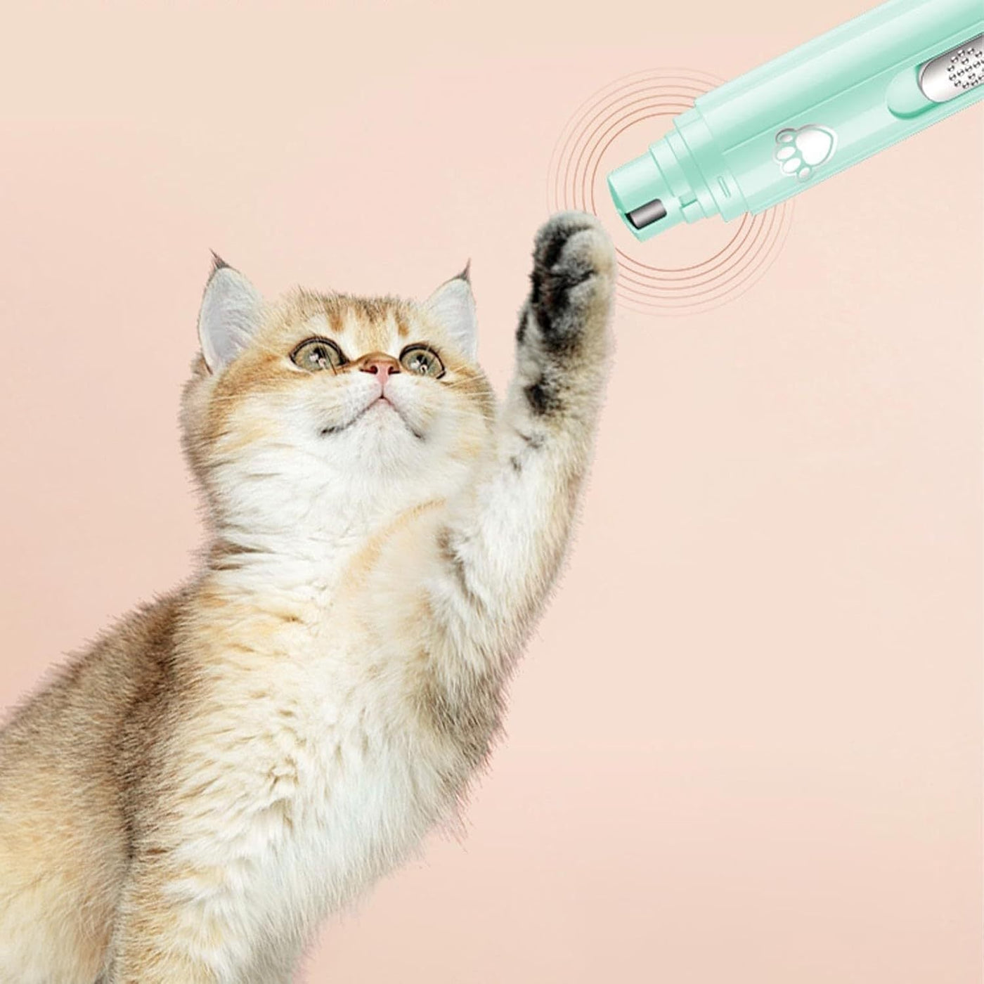 pet nail grinder