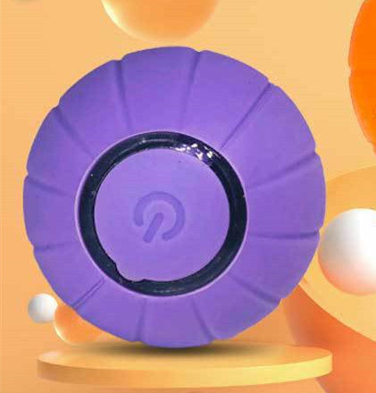 Smart Rolling Ball Pet Cat Toy